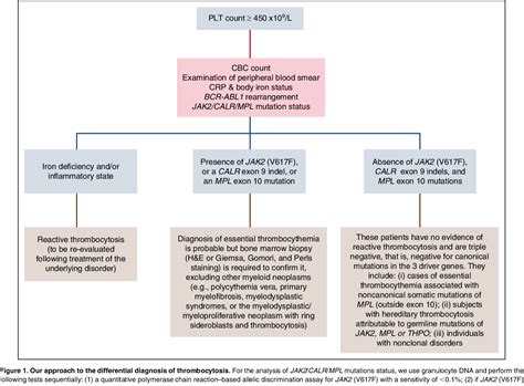 How I treat essential thrombocythemia 